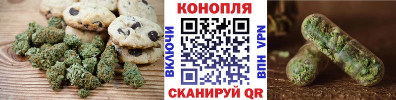 где найти Вязники Canna-Cookies марихуана