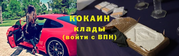 амф Белокуриха